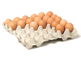 Moulded Fibre Egg Packaging