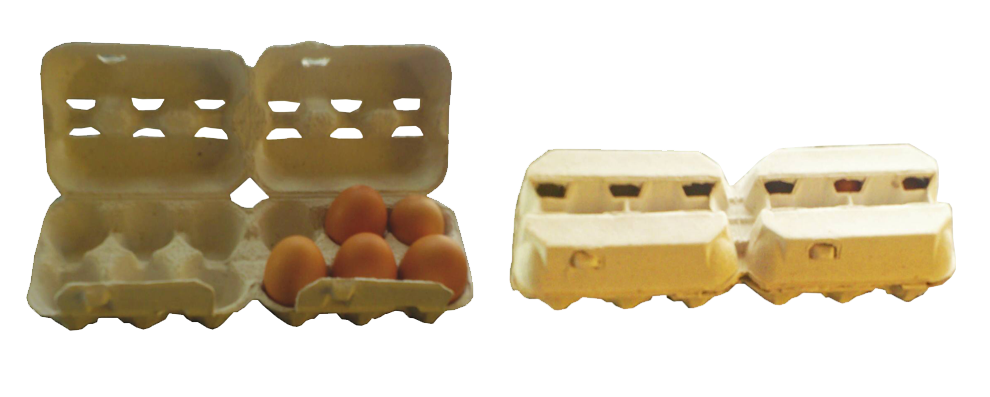 2 x 6 Egg Boxes <br/> Carries 12 eggs